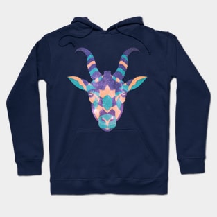 Capricorn Astrological sign Hoodie